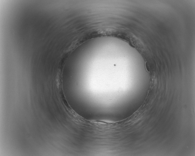 X0000070861012200606302040