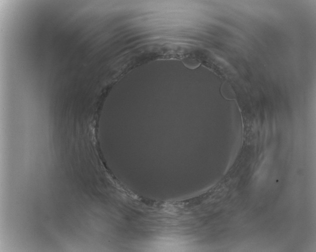 X0000070861013200606302040