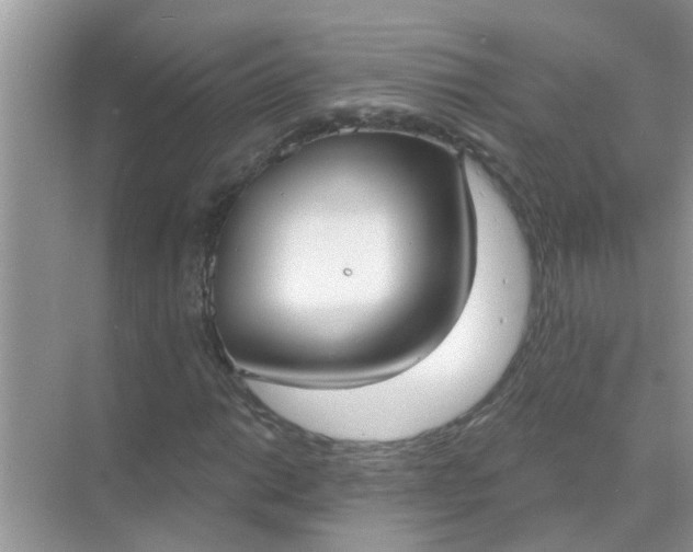 X0000070861014200606302040