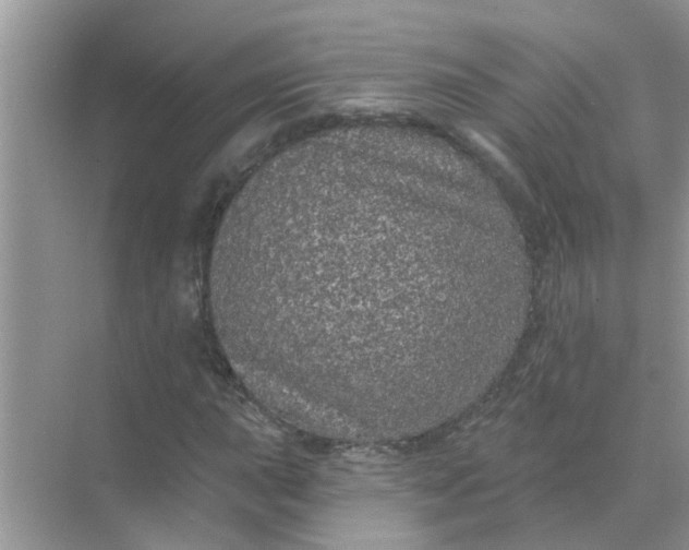 X0000070861015200606302040