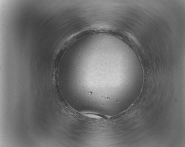 X0000070861016200606302040