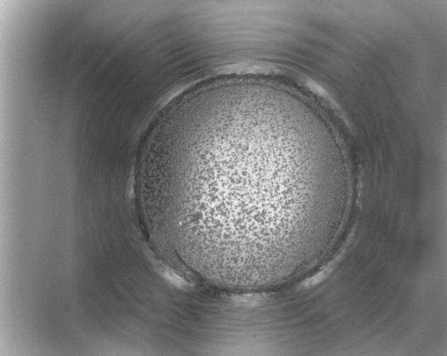 X0000070861017200606302040