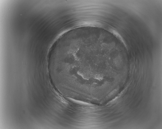 X0000070861019200606302040