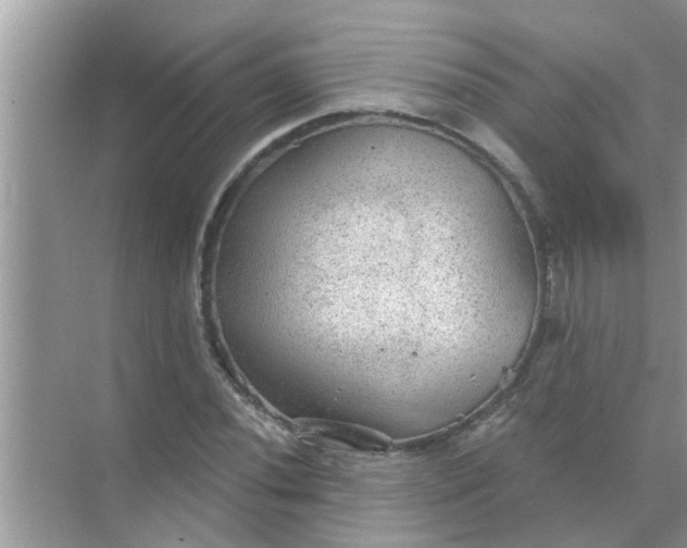 X0000070861020200606302040