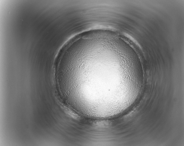 X0000070861021200606302040