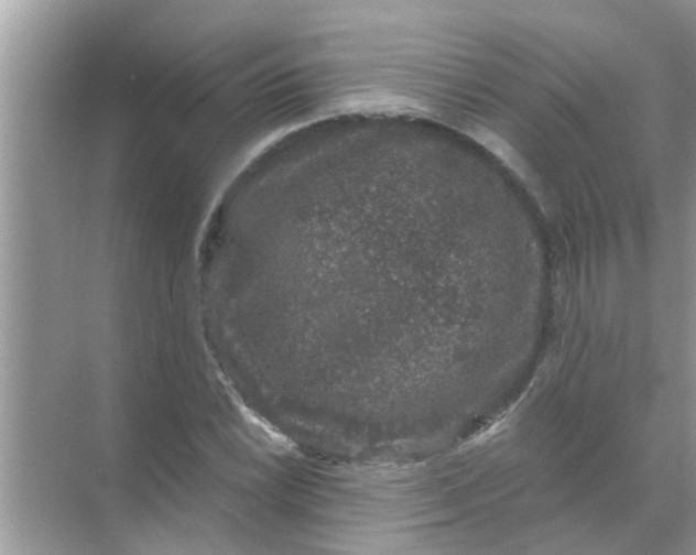 X0000070861022200606302040