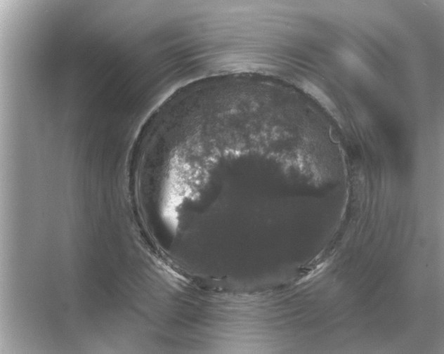 X0000070861023200606302040