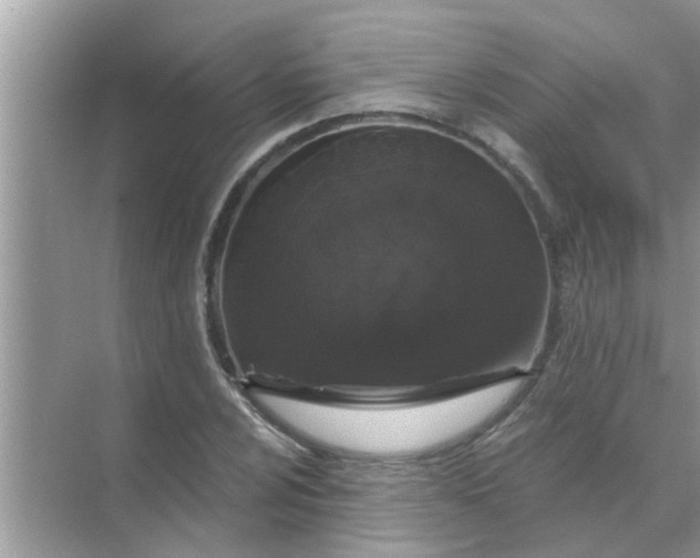 X0000070861024200606302040