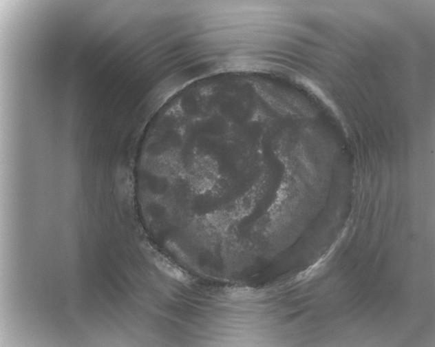 X0000070861025200606302040