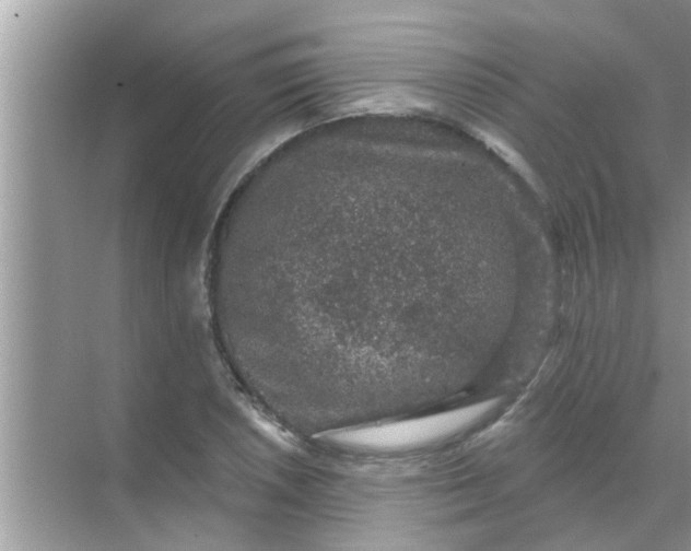 X0000070861026200606302040