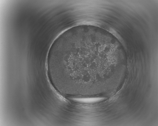 X0000070861028200606302040