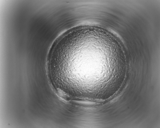 X0000070861029200606302040