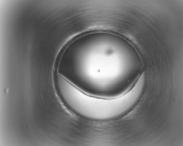 X0000070861030200606302040