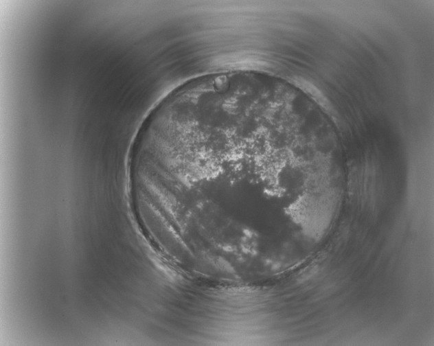 X0000070861031200606302040