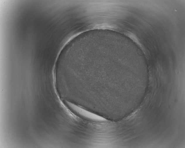 X0000070861032200606302040