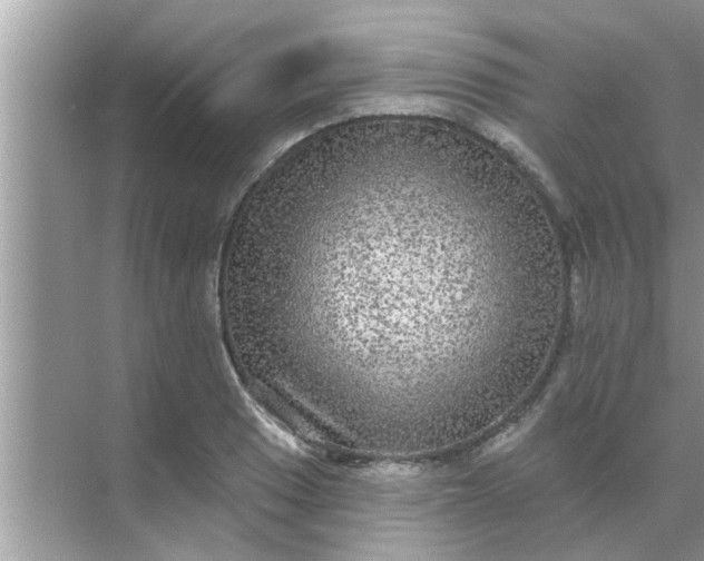 X0000070861033200606302040