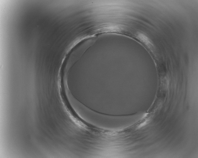 X0000070861034200606302040