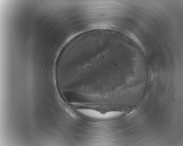 X0000070861035200606302040