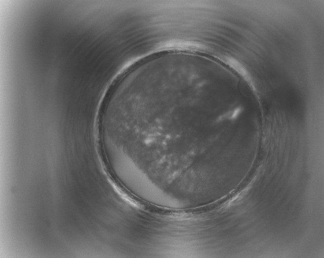 X0000070861037200606302040