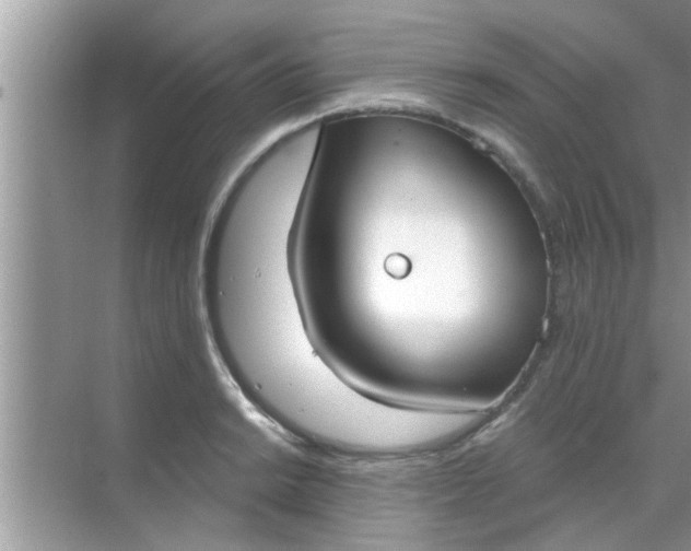 X0000070861038200606302040