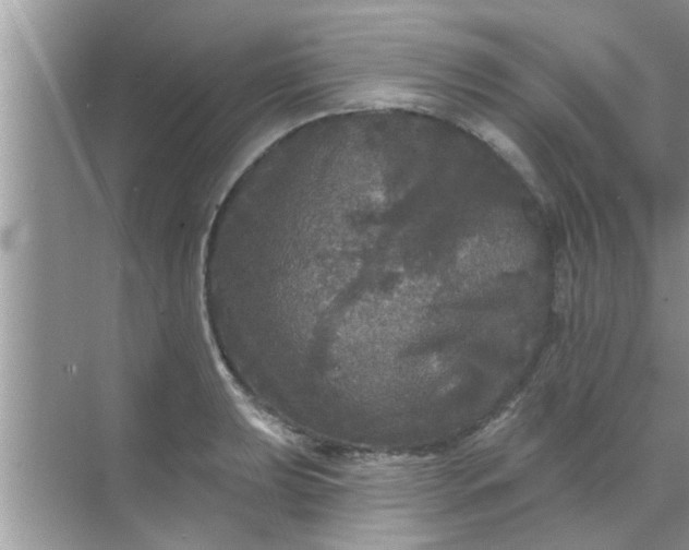 X0000070861039200606302041