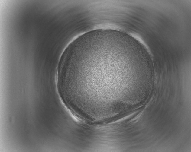 X0000070861040200606302041