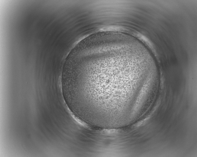 X0000070861041200606302041