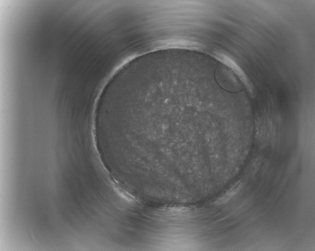 X0000070861043200606302041