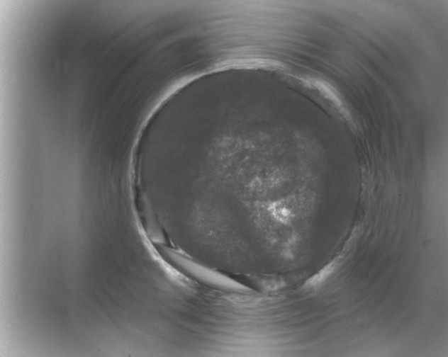 X0000070861046200606302041