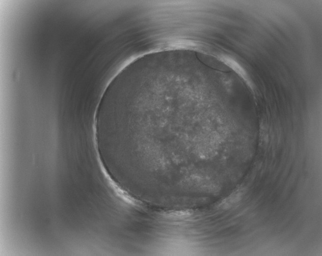 X0000070861047200606302041