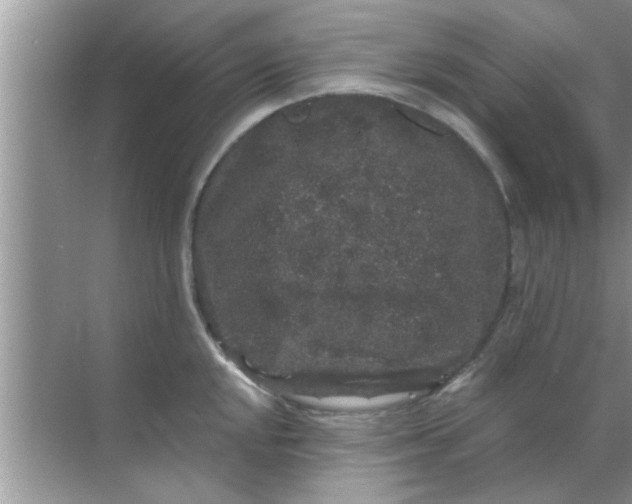 X0000070861048200606302041