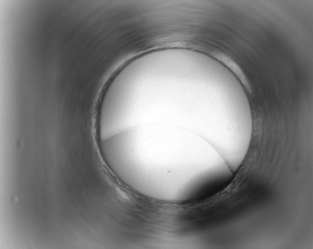 X0000070861051200606302041