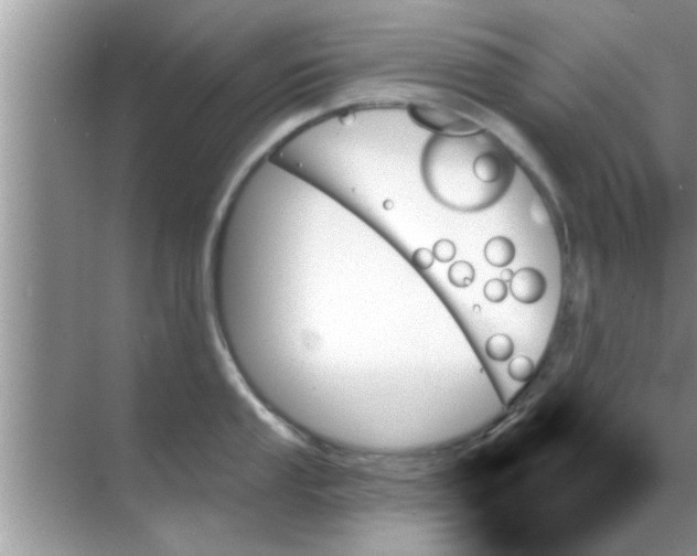 X0000070861053200606302041