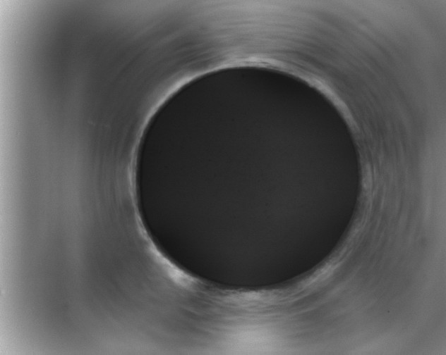 X0000070861054200606302041