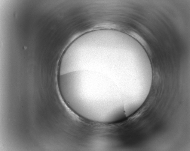 X0000070861055200606302041