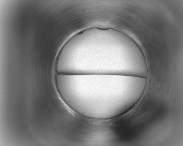 X0000070861056200606302041