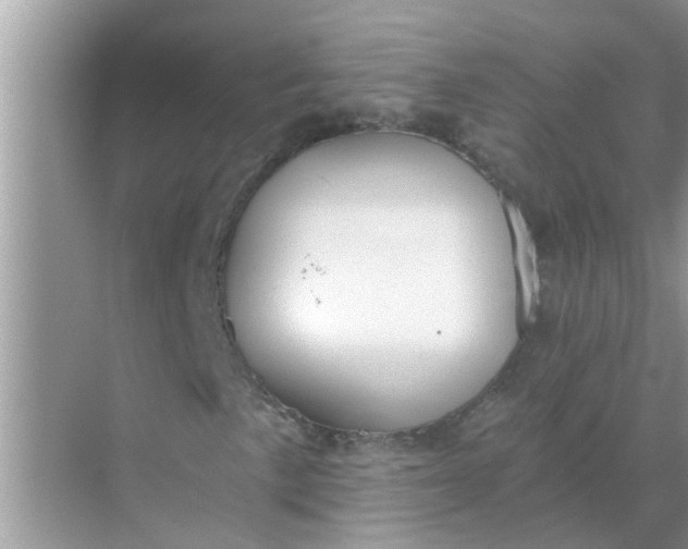 X0000070861057200606302040