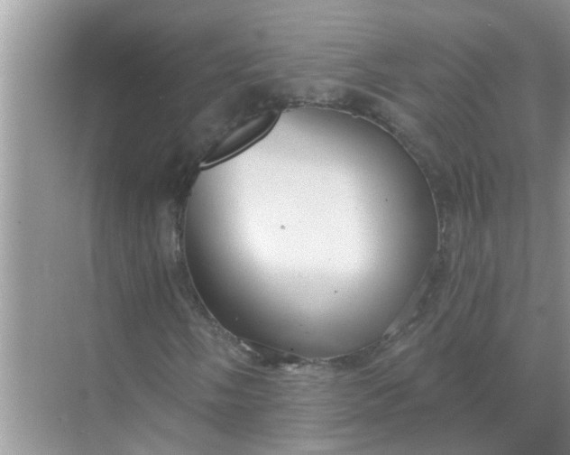 X0000070861058200606302040