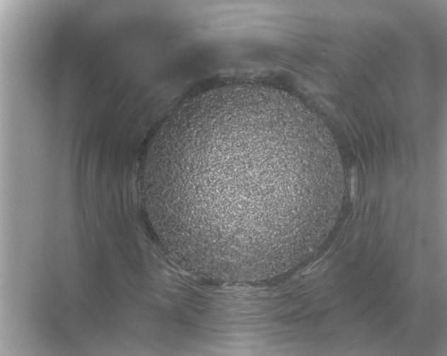 X0000070861059200606302040