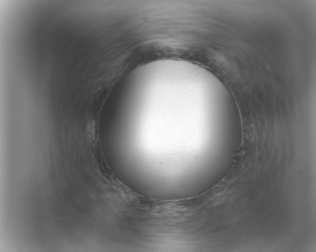 X0000070861061200606302040