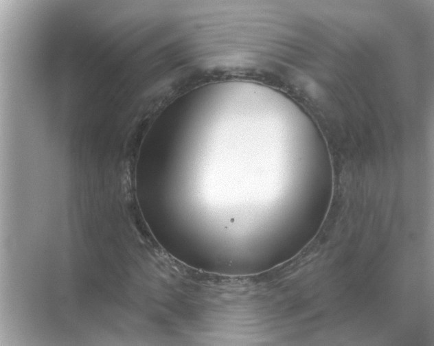 X0000070861062200606302040