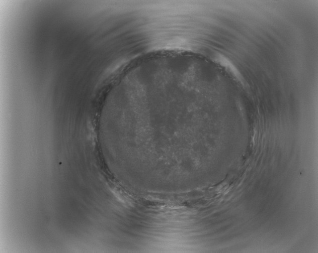 X0000070861064200606302040