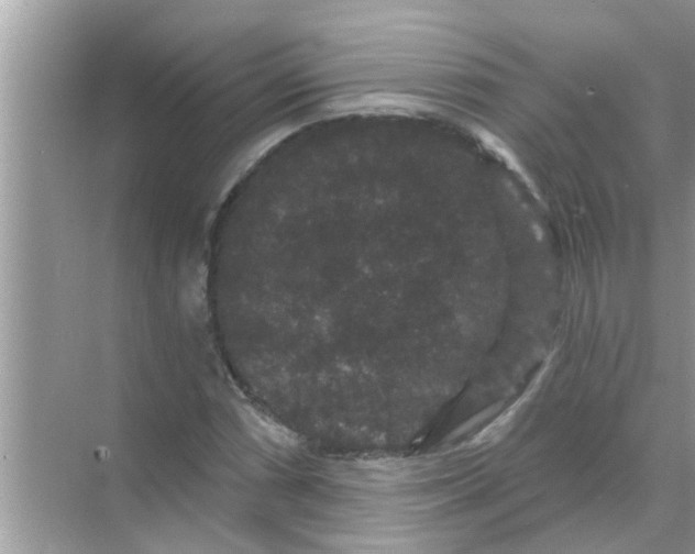 X0000070861066200606302040