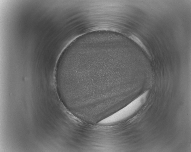 X0000070861068200606302040