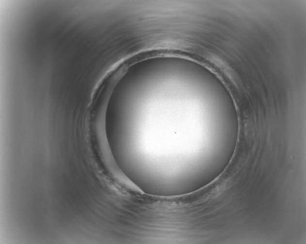 X0000070861069200606302040