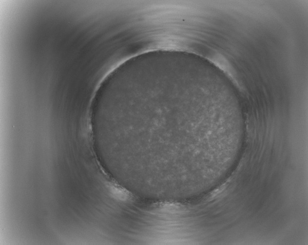 X0000070861070200606302040