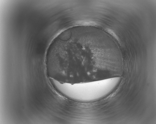 X0000070861071200606302040