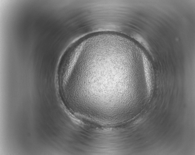 X0000070861072200606302040