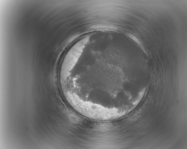 X0000070861074200606302040