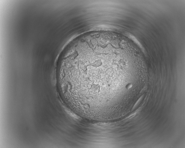 X0000070861075200606302040